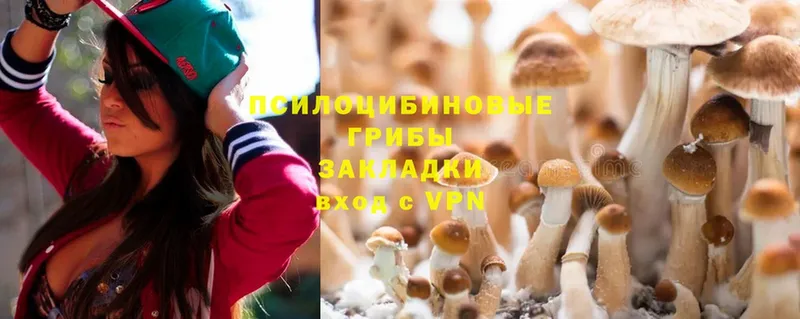 Псилоцибиновые грибы MAGIC MUSHROOMS  Костерёво 